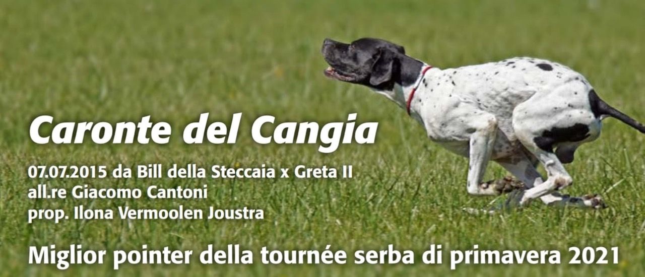 Caronte Best Pointer